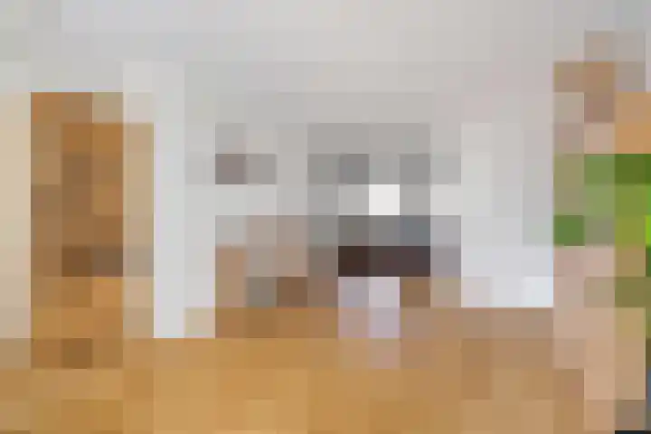 Gildelaar 16 Teteringen thumbnail 11