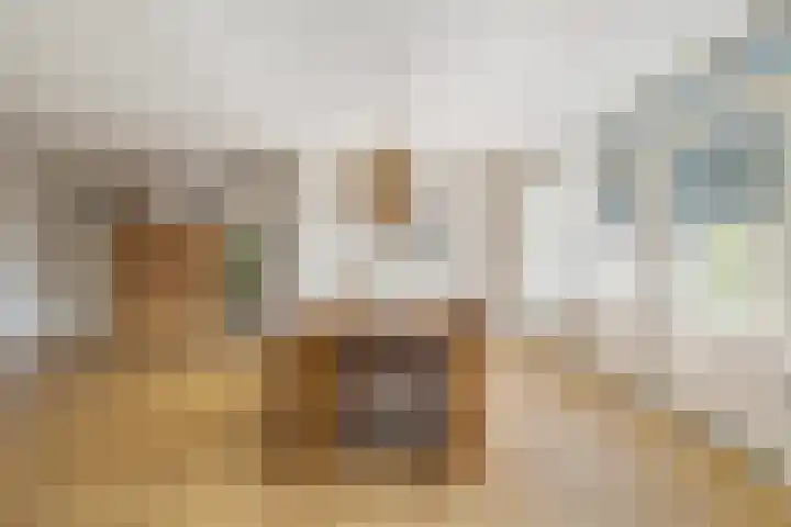 Gildelaar 16 Teteringen thumbnail 15