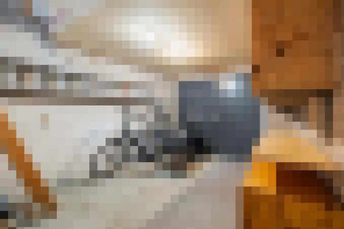 Gildelaar 16 Teteringen thumbnail 24