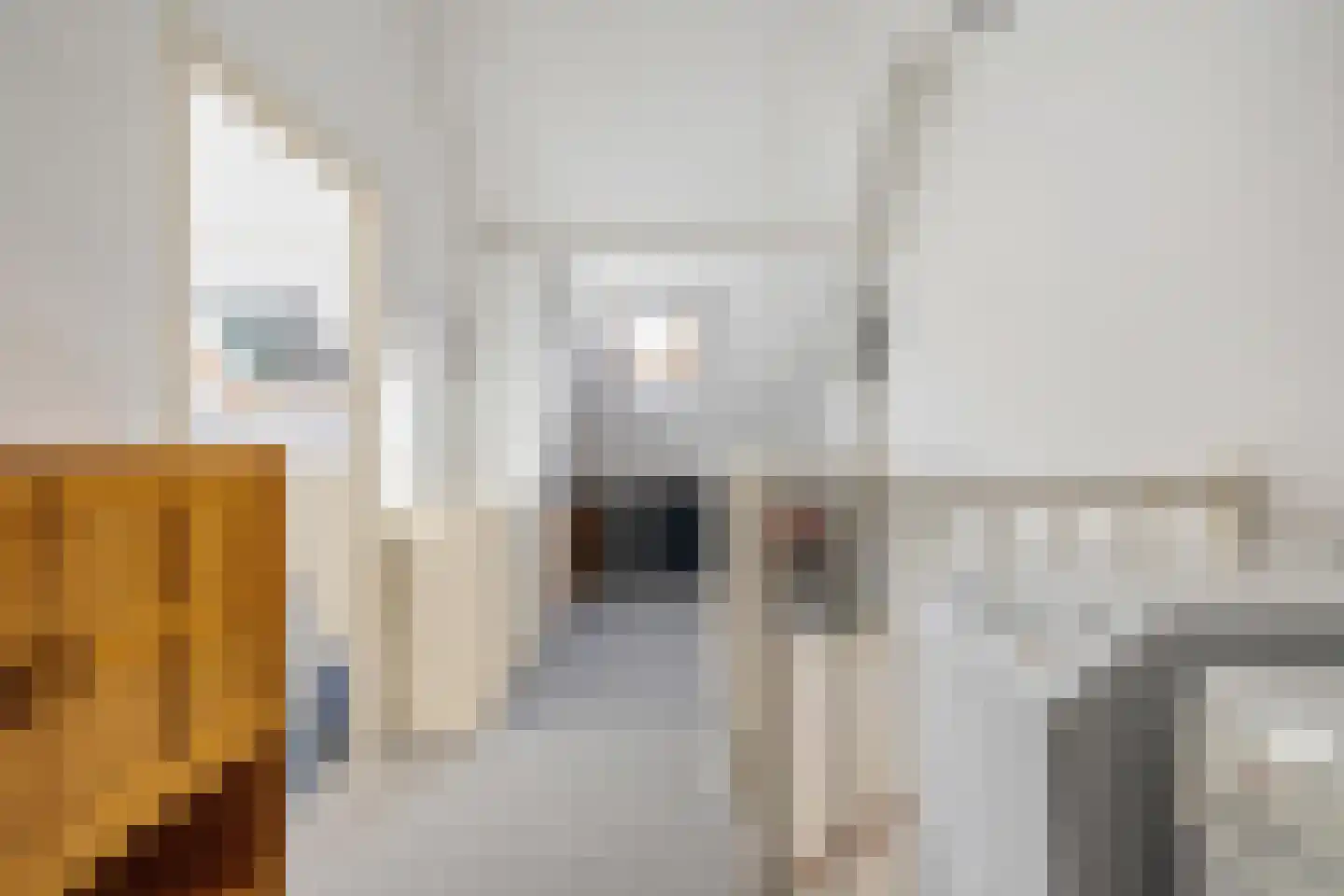 Gildelaar 16 Teteringen thumbnail 34