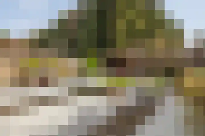 Gildelaar 16 Teteringen thumbnail 38