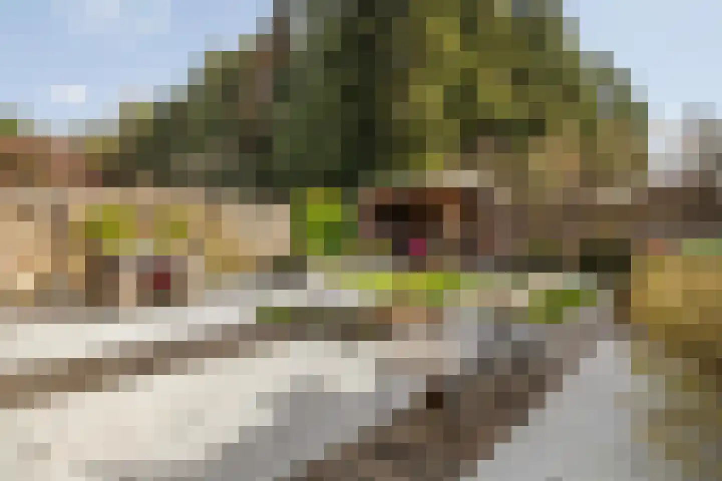 Gildelaar 16 Teteringen thumbnail 38