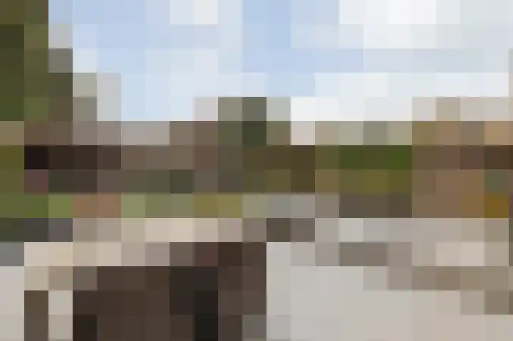 Gildelaar 16 Teteringen thumbnail 39