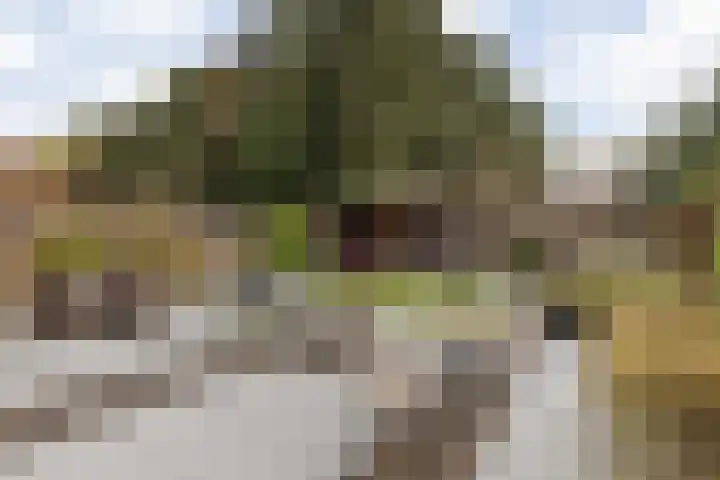 Gildelaar 16 Teteringen thumbnail 41