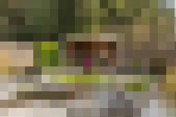 Gildelaar 16 Teteringen thumbnail 42