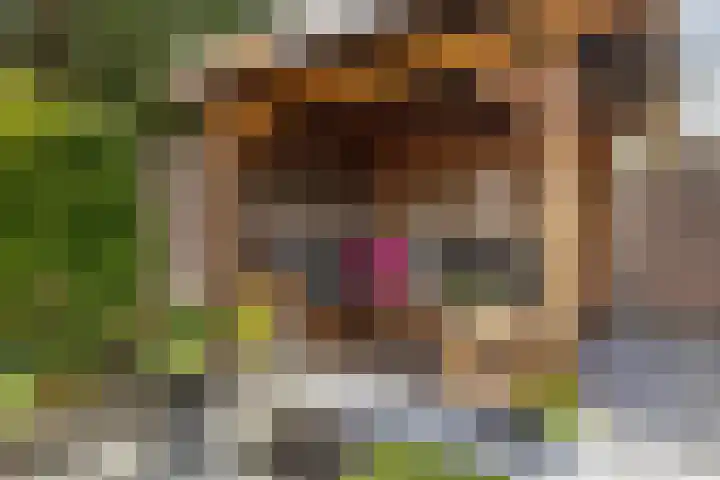 Gildelaar 16 Teteringen thumbnail 43