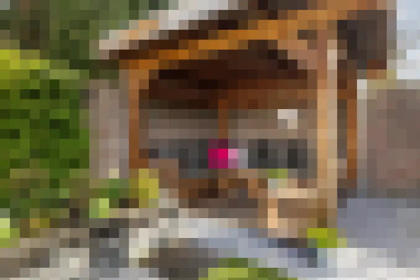 Gildelaar 16 Teteringen thumbnail 43