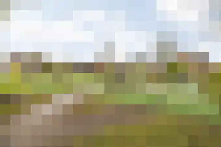 Gildelaar 16 Teteringen thumbnail 45