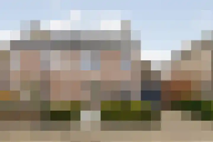 Gildelaar 16 Teteringen thumbnail 46