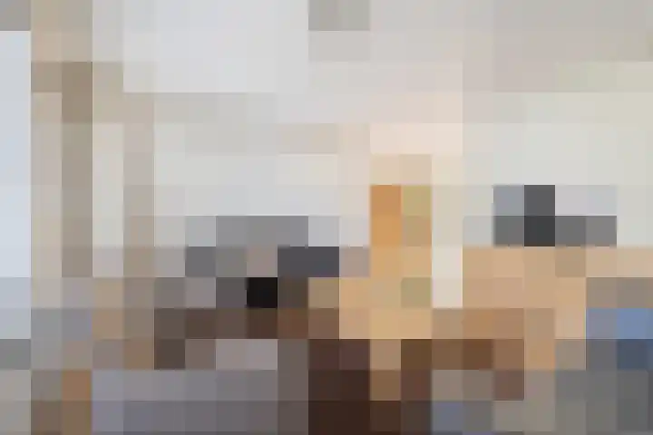 Gildelaar 16 Teteringen thumbnail 9