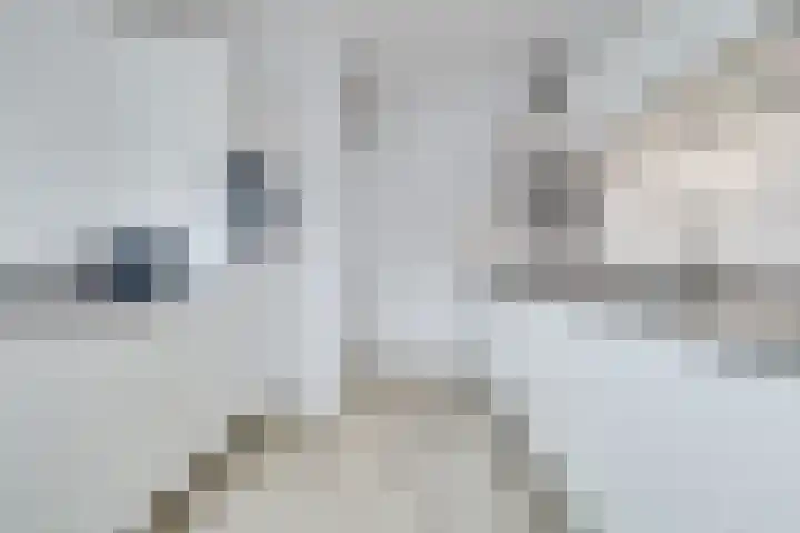 Gildeland 18 Epe thumbnail 12
