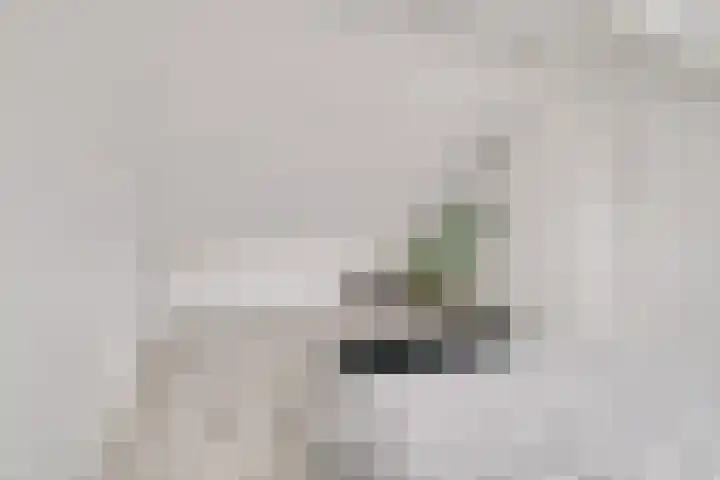 Gildeland 18 Epe thumbnail 28