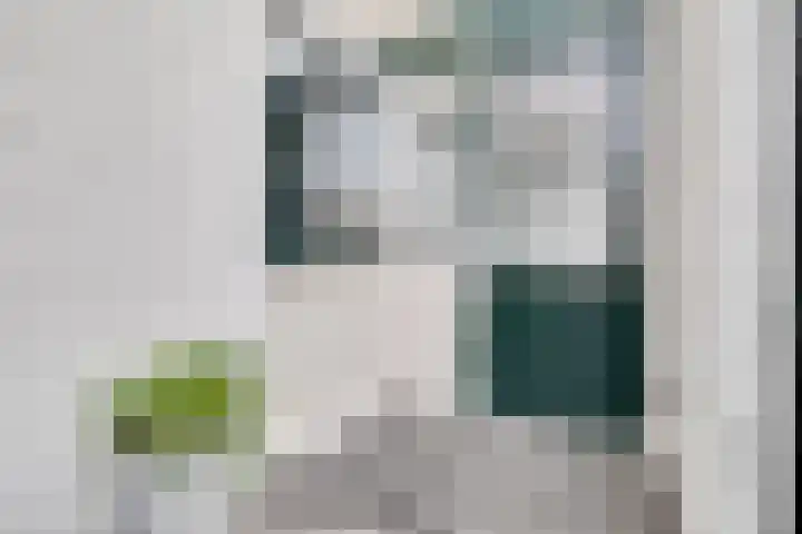 Gildeland 18 Epe thumbnail 30