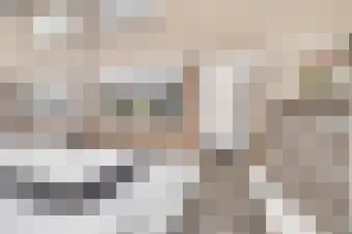 Gildeland 18 Epe thumbnail 34