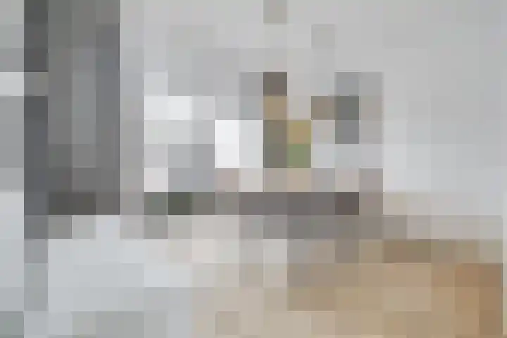 Gildeland 18 Epe thumbnail 7
