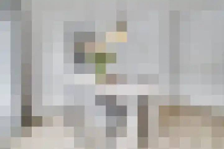 Gildeland 18 Epe thumbnail 8