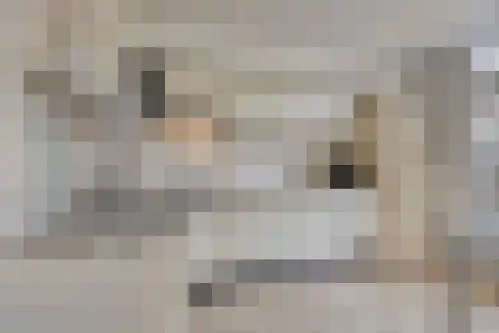 Gildelandt 16 Maashees thumbnail 10