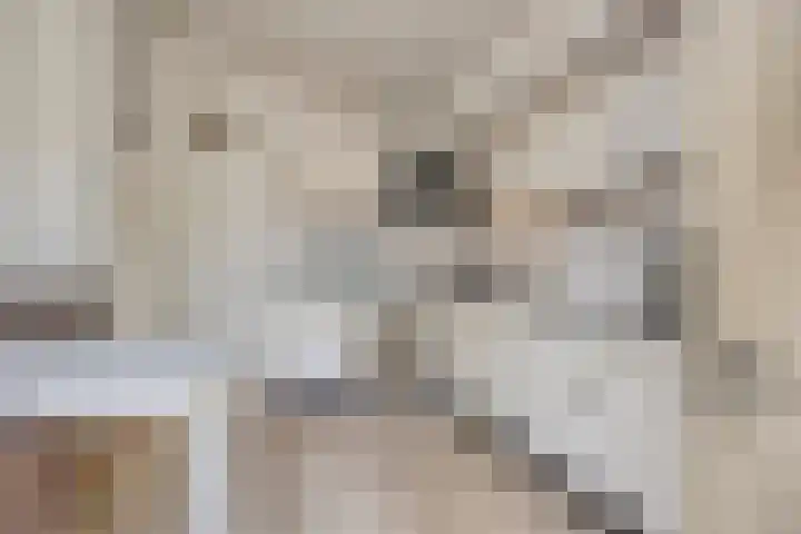 Gildelandt 16 Maashees thumbnail 11
