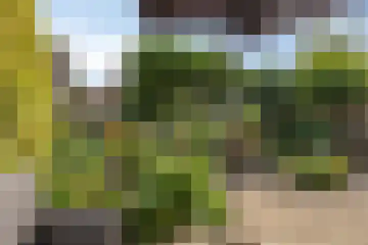Gildelandt 16 Maashees thumbnail 20