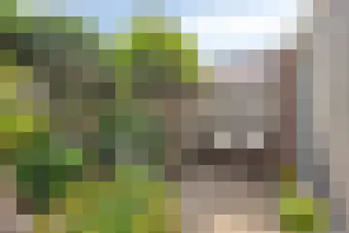 Gildelandt 16 Maashees thumbnail 21