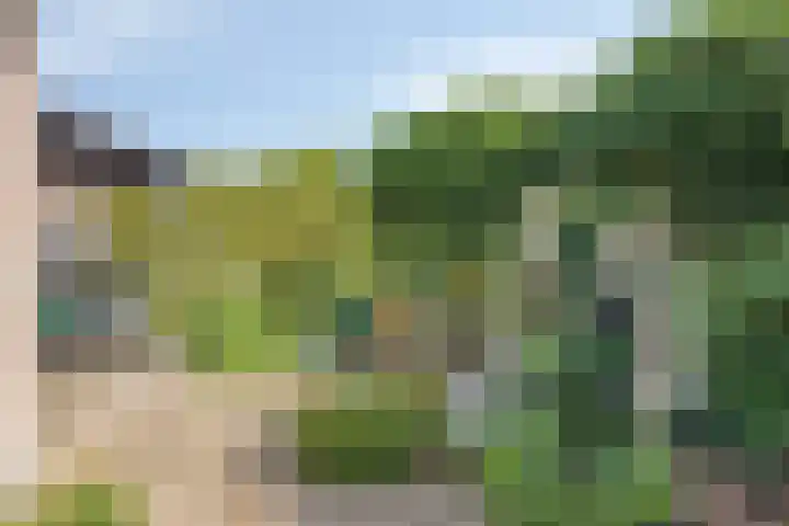Gildelandt 16 Maashees thumbnail 22