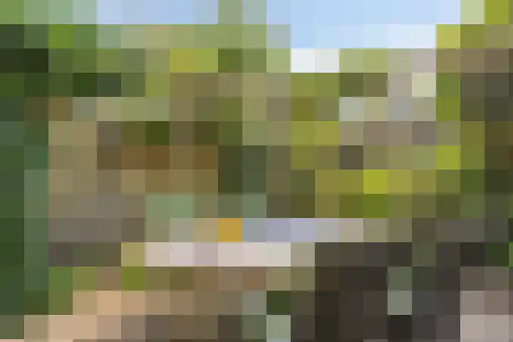 Gildelandt 16 Maashees thumbnail 23