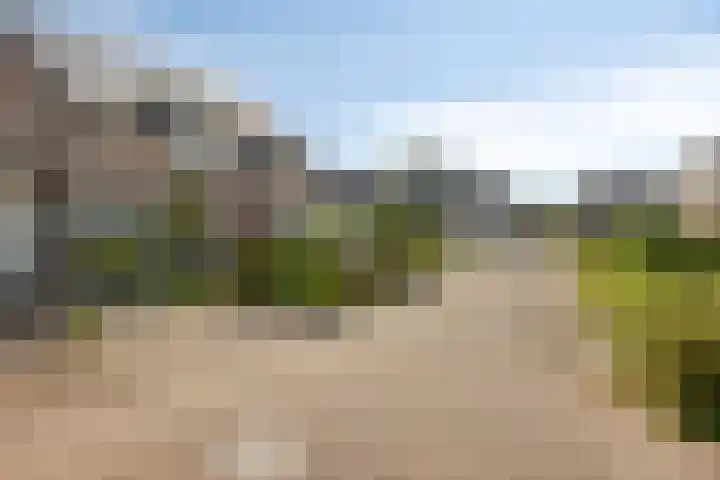 Gildelandt 16 Maashees thumbnail 24