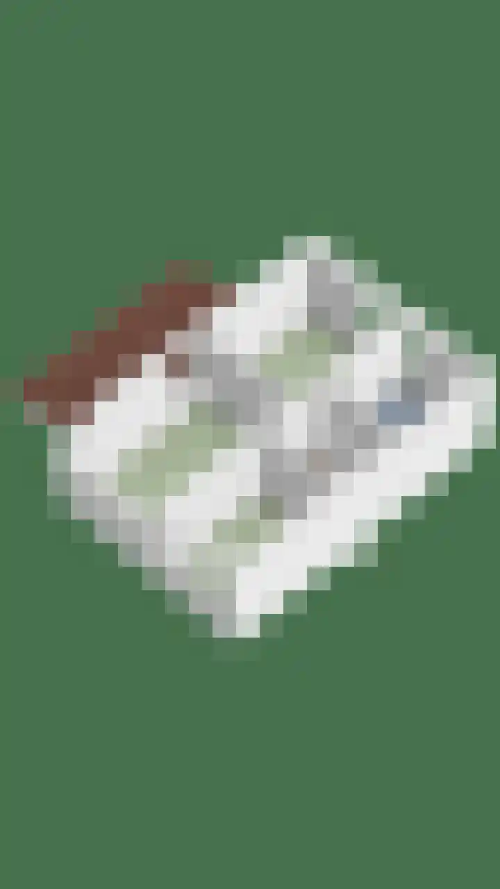 Gildelandt 16 Maashees thumbnail 31