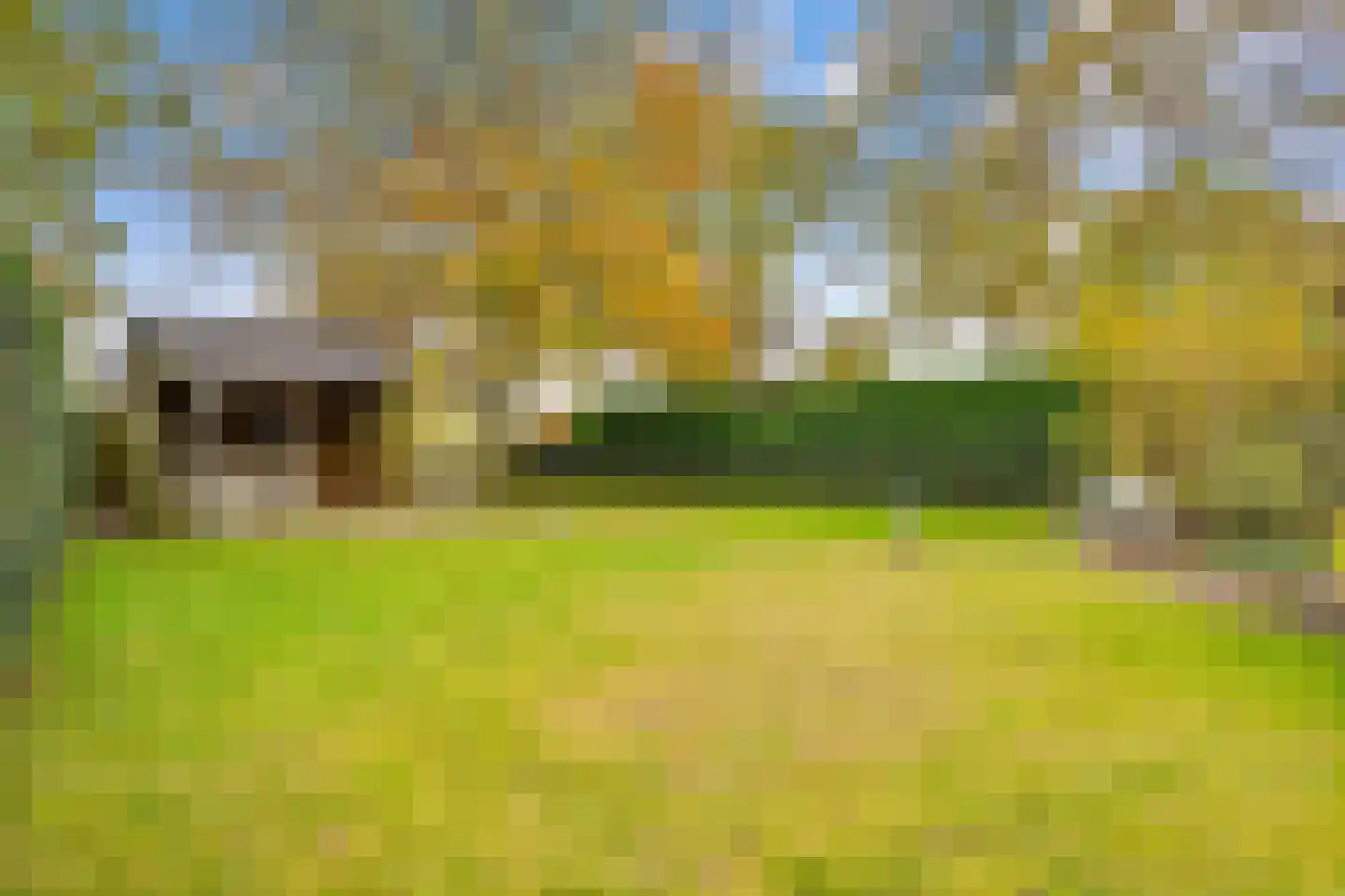 Gildelandt 53 Maashees thumbnail 52