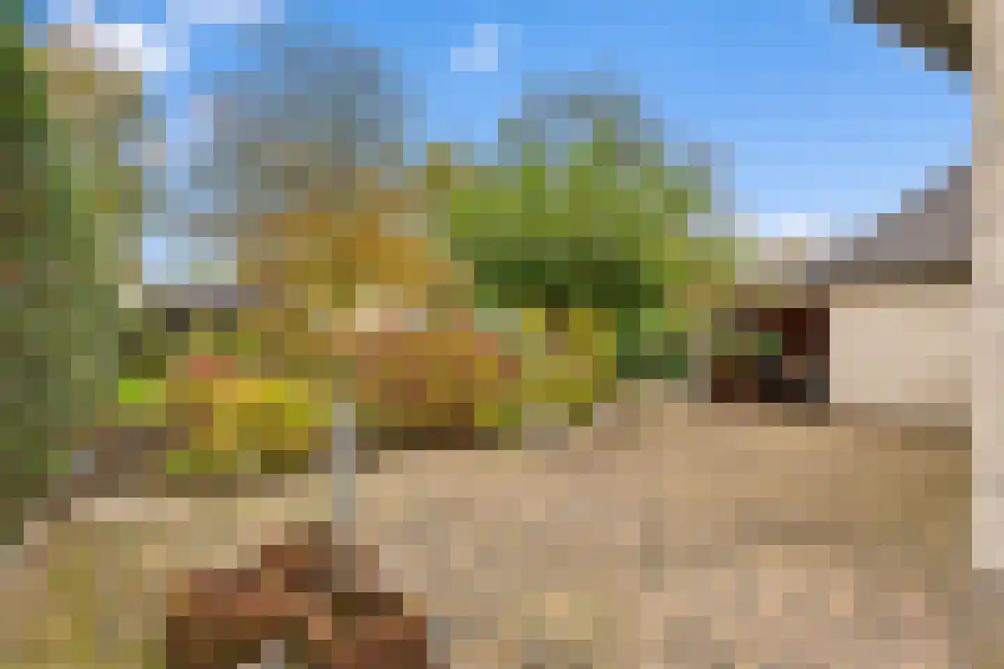 Gildelandt 53 Maashees thumbnail 56