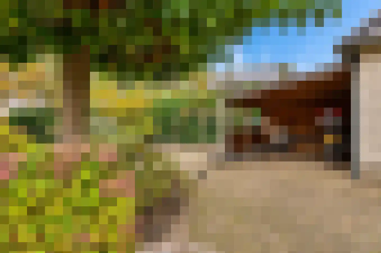 Gildelandt 53 Maashees thumbnail 58
