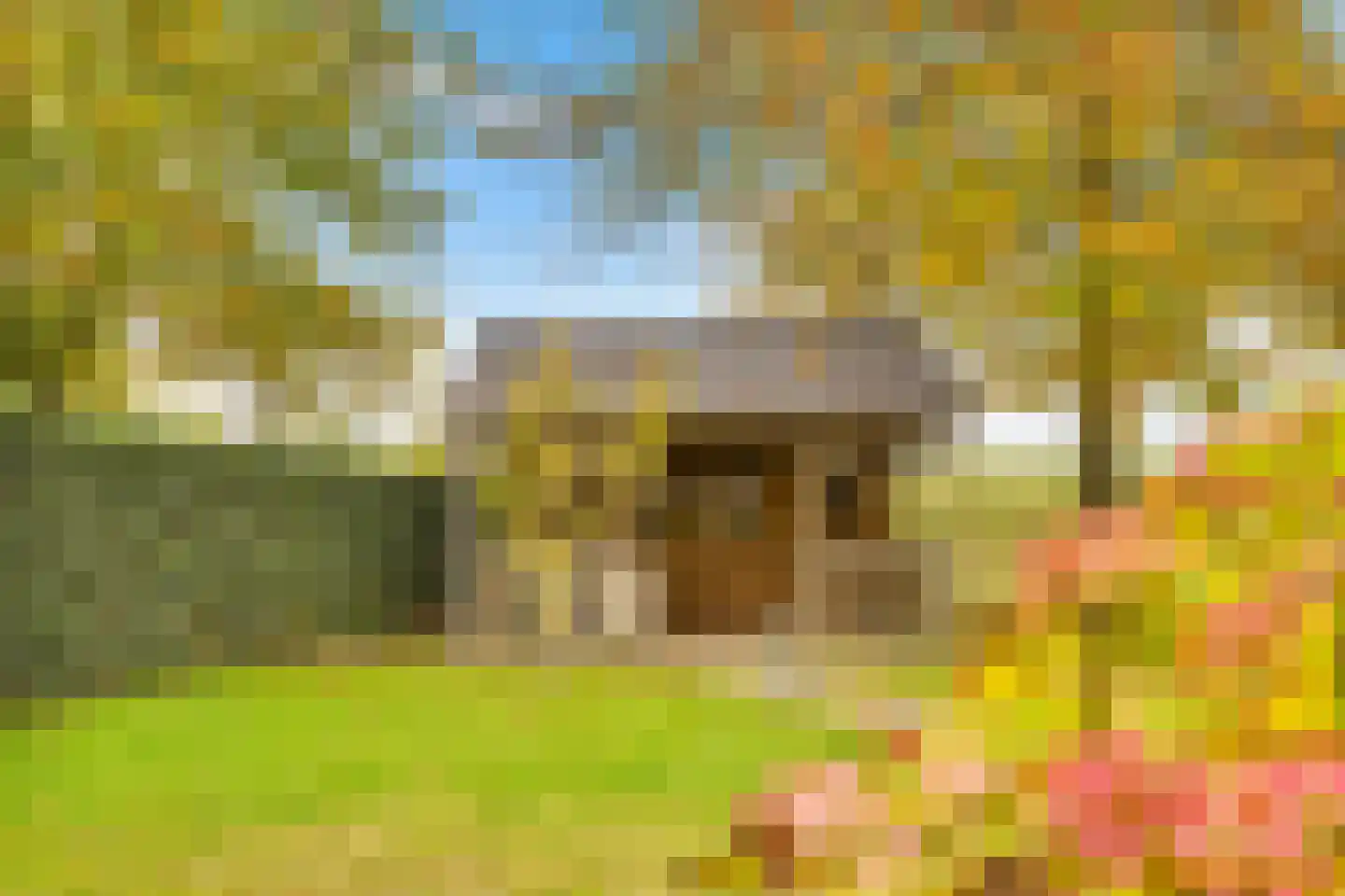 Gildelandt 53 Maashees thumbnail 60