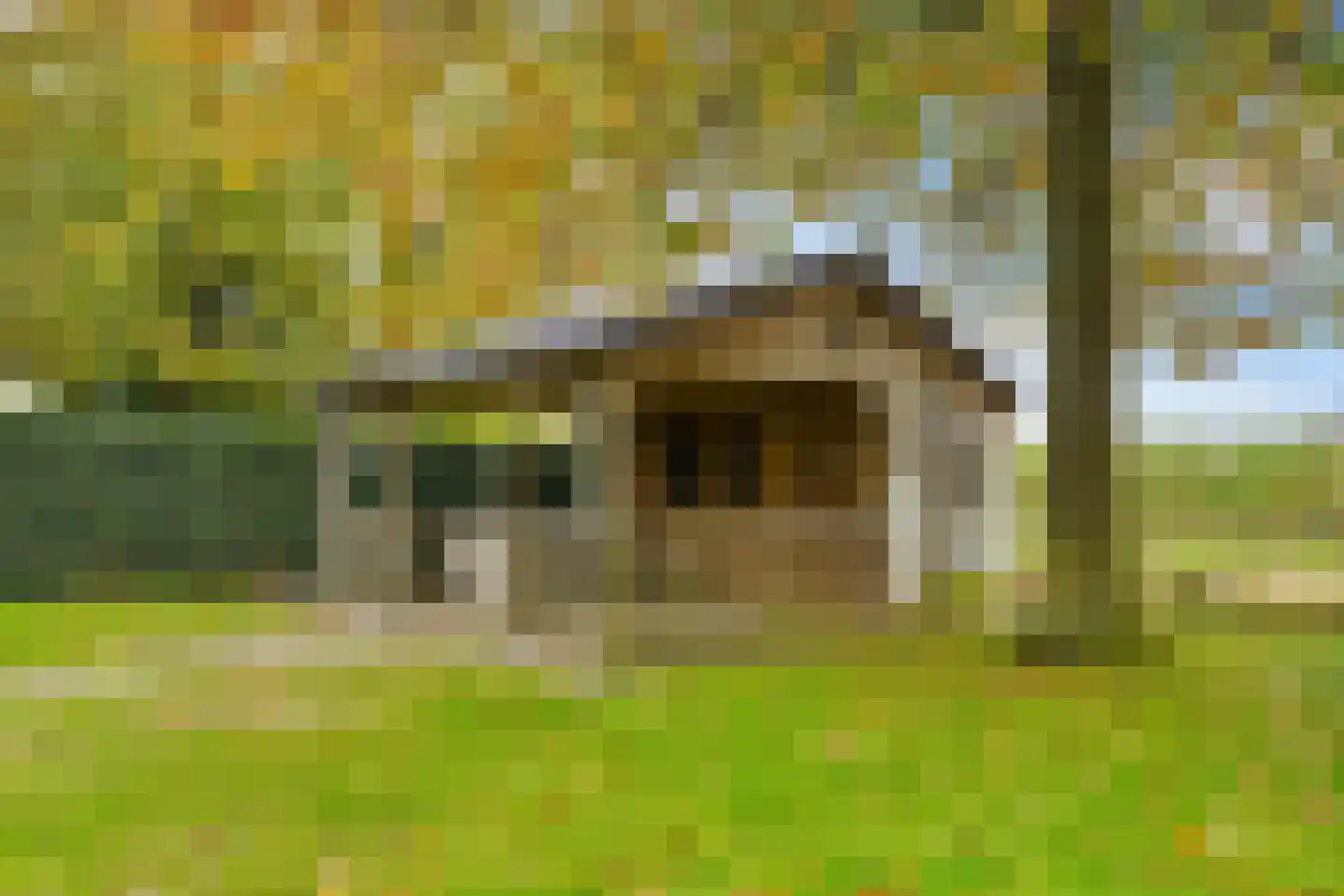 Gildelandt 53 Maashees thumbnail 62