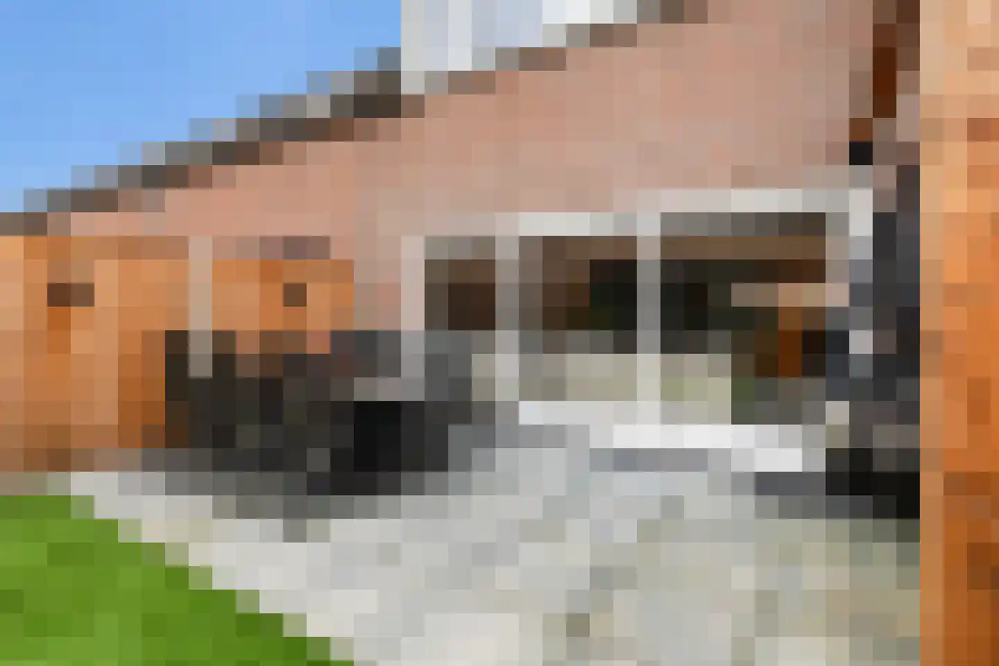 Gildemark 109 Almere thumbnail 30