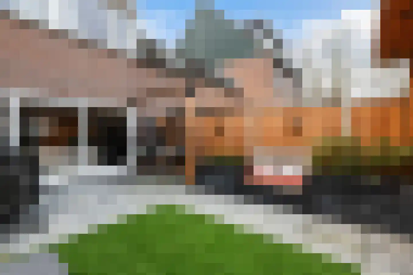 Gildemark 109 Almere thumbnail 31