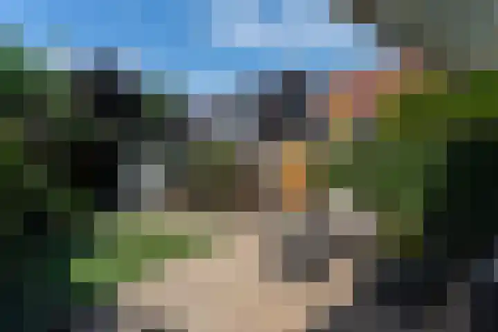Gildemark 38 Almere thumbnail 17