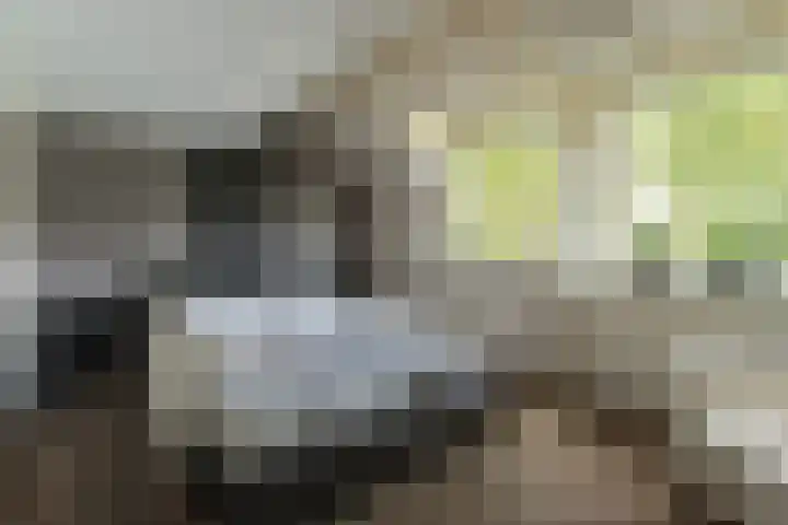 Gildemark 38 Almere thumbnail 23