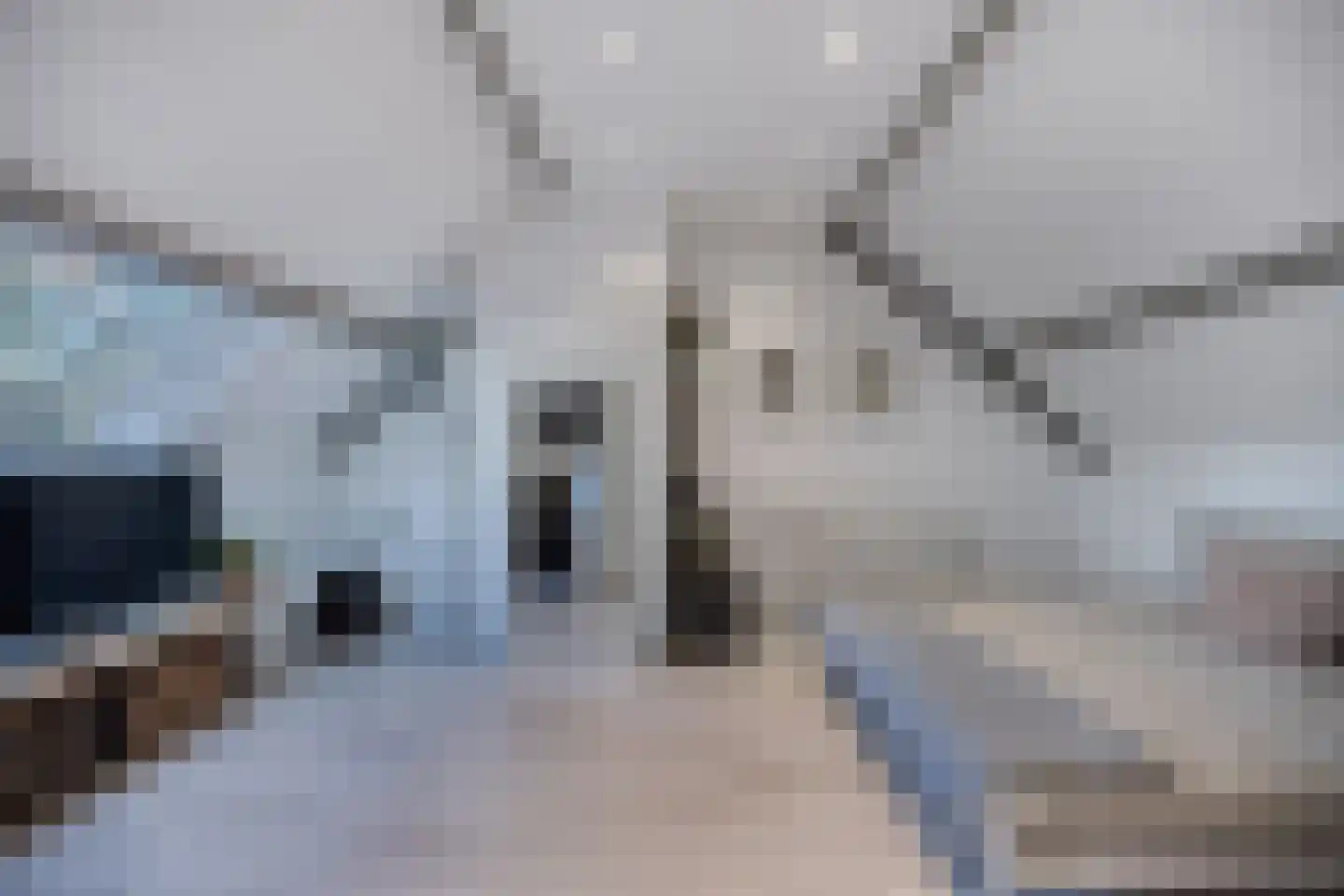 Gildemark 42 Almere thumbnail 31