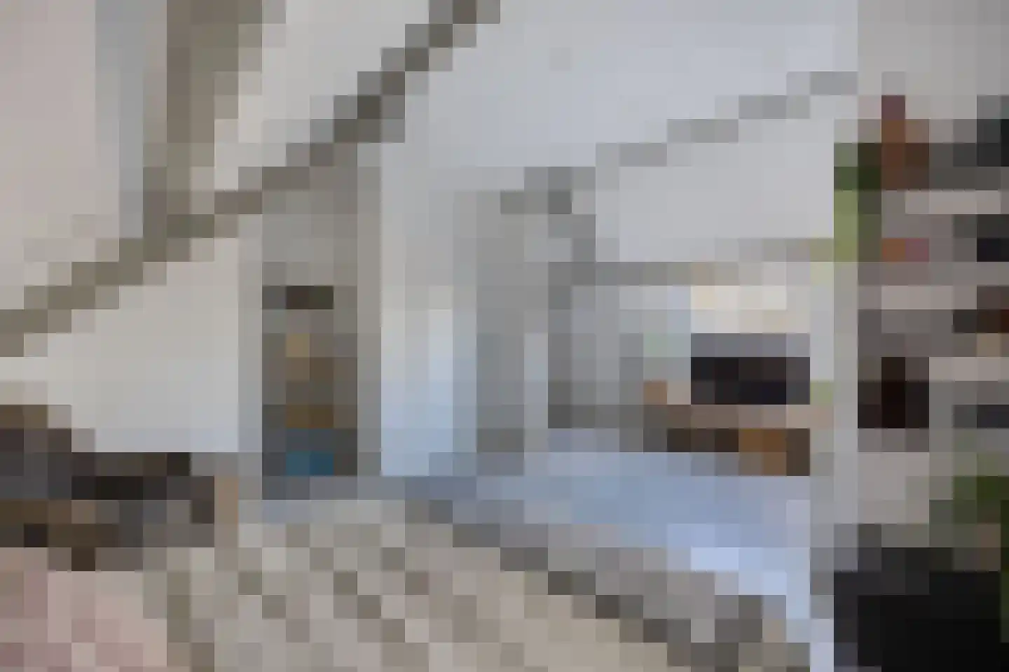Gildemark 42 Almere thumbnail 32
