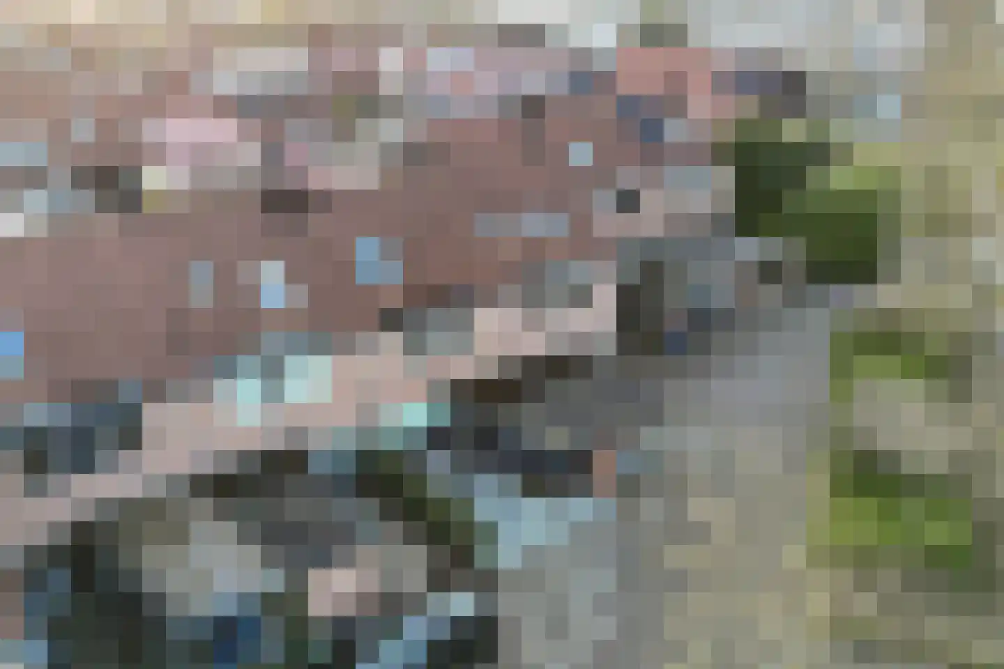Gildemark 42 Almere thumbnail 49
