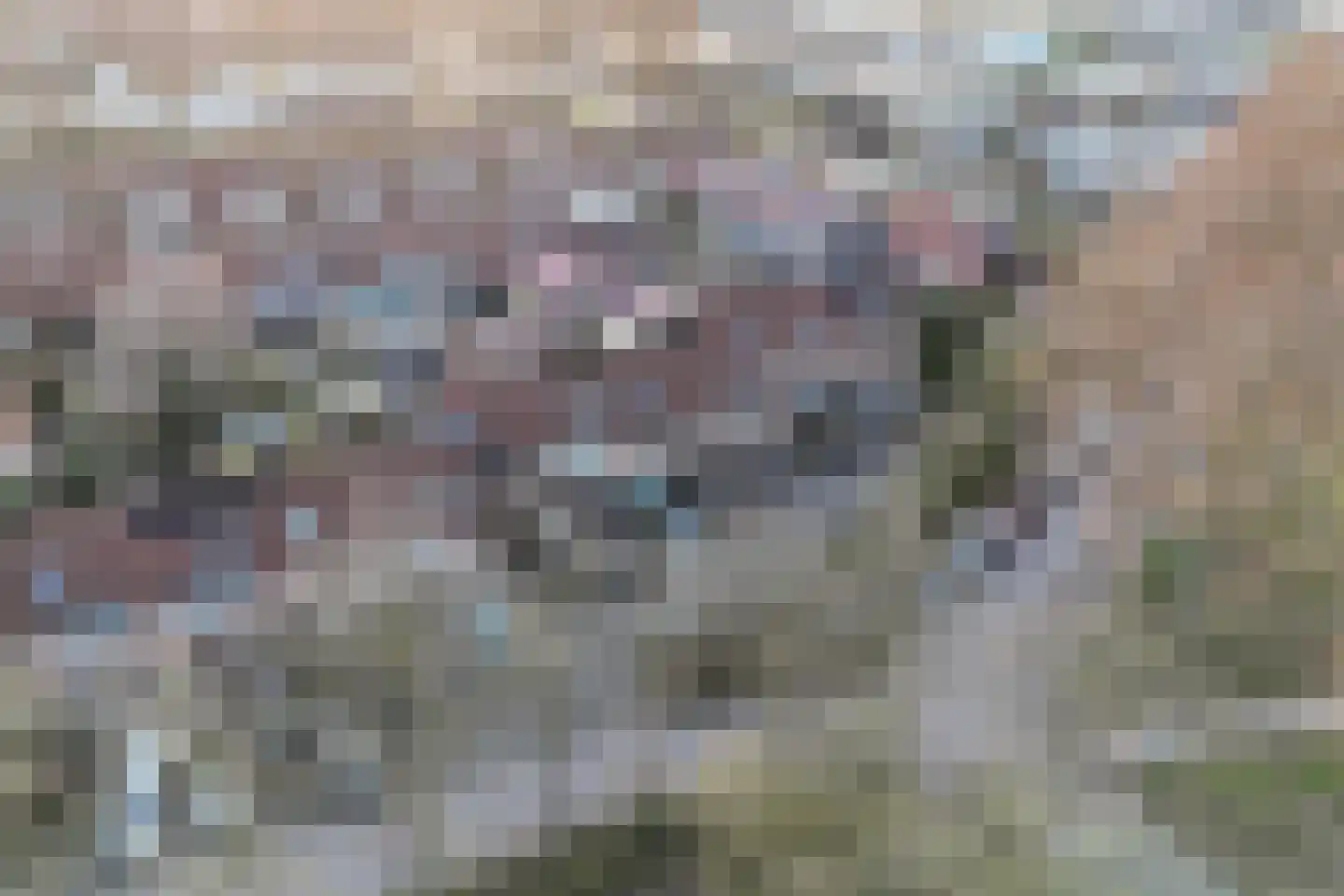 Gildemark 42 Almere thumbnail 50