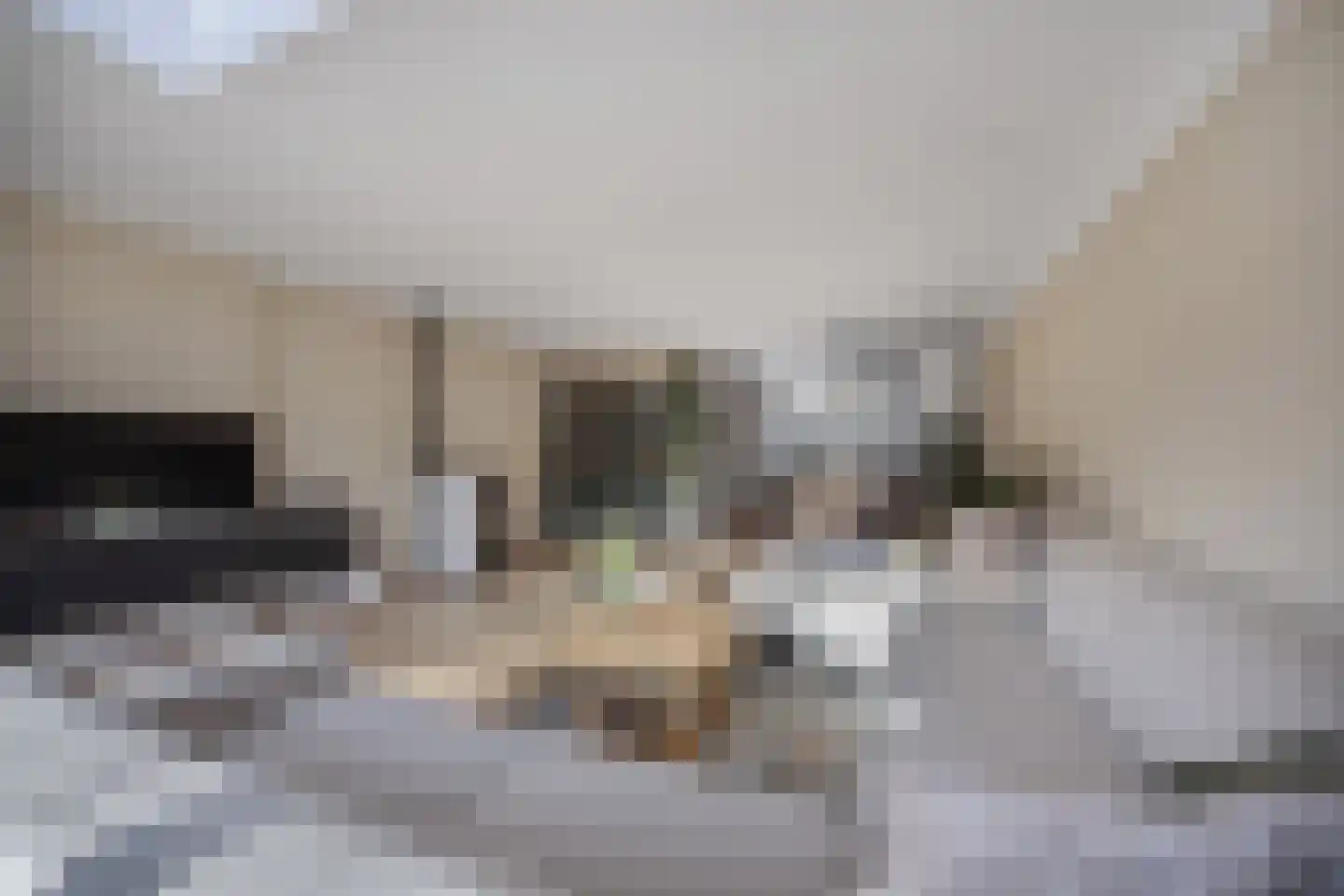 Gildemark 42 Almere thumbnail 7