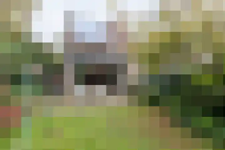 Gildemark 54 Almere thumbnail 27