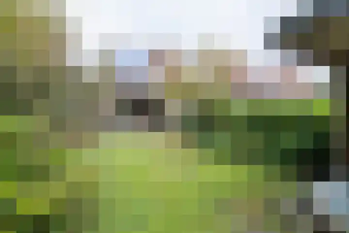Gildemark 54 Almere thumbnail 32
