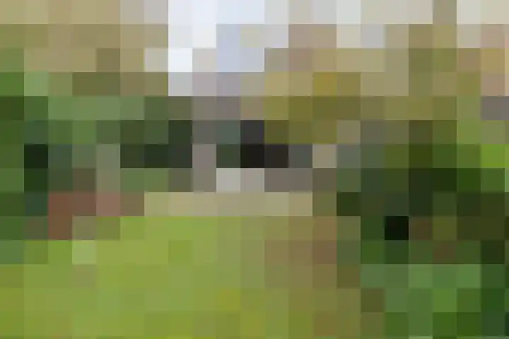 Gildemark 54 Almere thumbnail 33