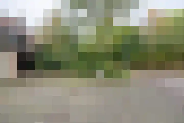 Gildemark 54 Almere thumbnail 38
