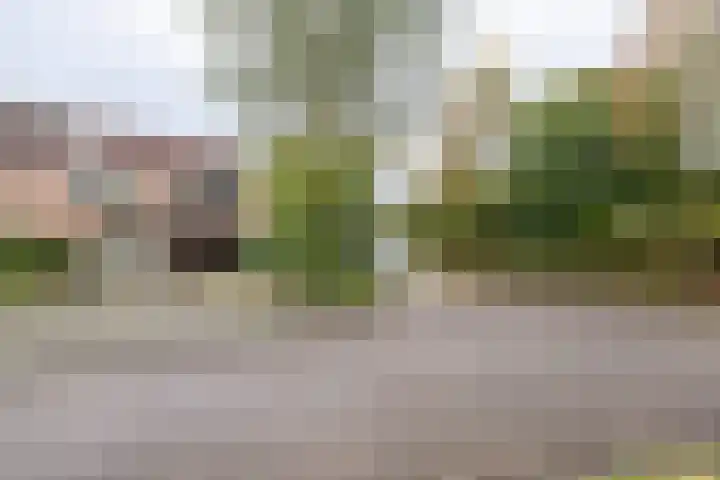 Gildemark 54 Almere thumbnail 40