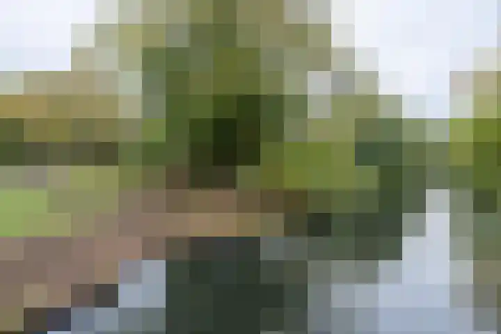 Gildemark 54 Almere thumbnail 41