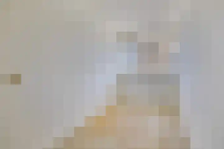 Gildemeestersplein 124 Arnhem thumbnail 19