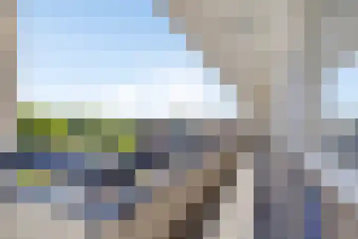 Gildemeestersplein 124 Arnhem thumbnail 24